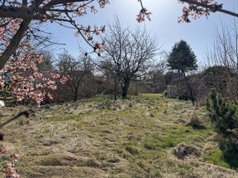 18347 Ostseebad Wustrow, Finca zum Kauf | Grundstück | Reiser Immobilien